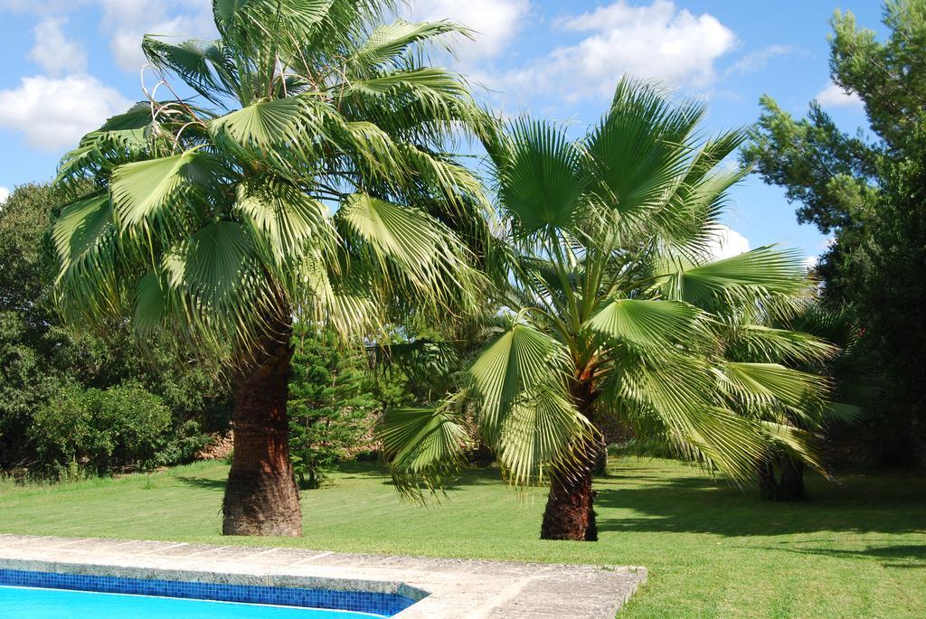 Finca Son Vivot Bagian luar foto