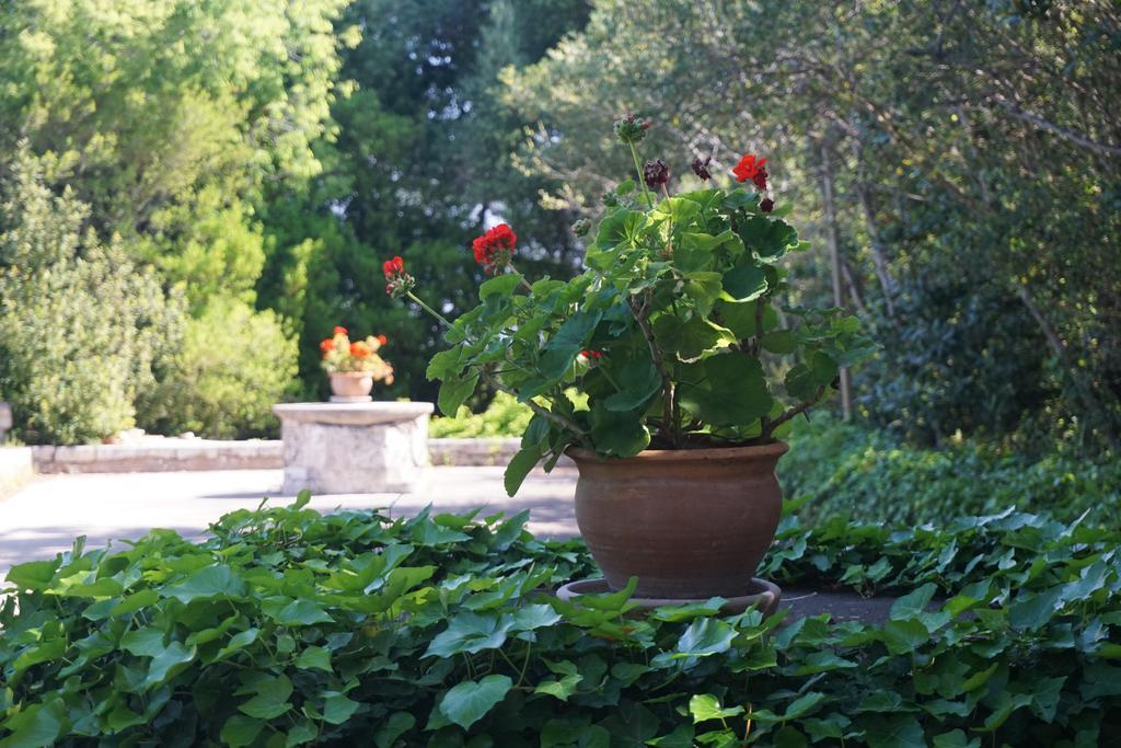 Finca Son Vivot Bagian luar foto