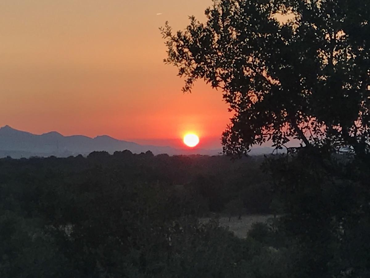Finca Son Vivot Bagian luar foto
